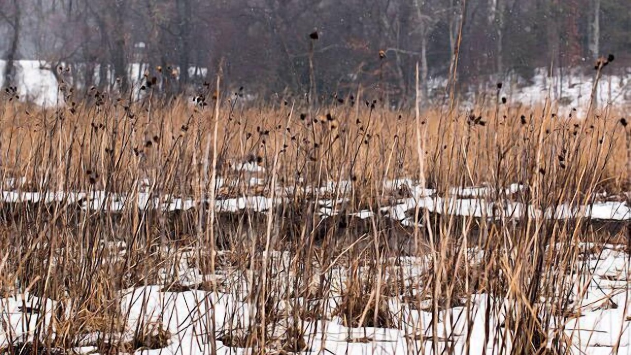 Photo of Others in Irvington