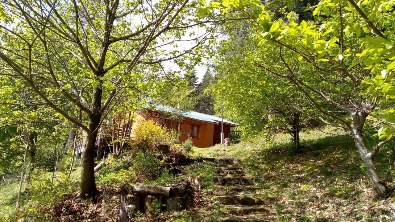 Photo of Outdoor in Treignac