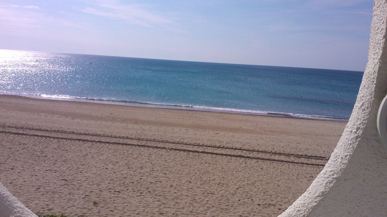 Photo of Others in Miami Platja