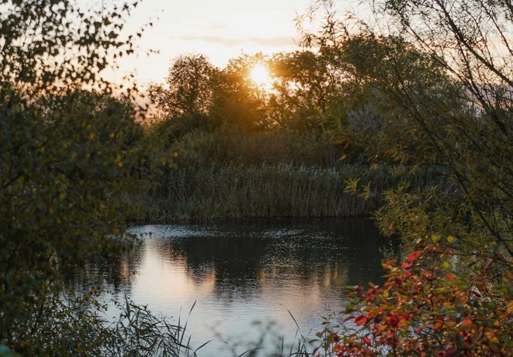 Photo of Others in Wall Houses