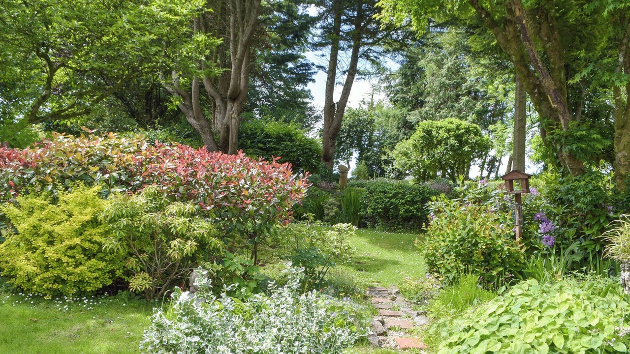 Photo of Others in Narberth