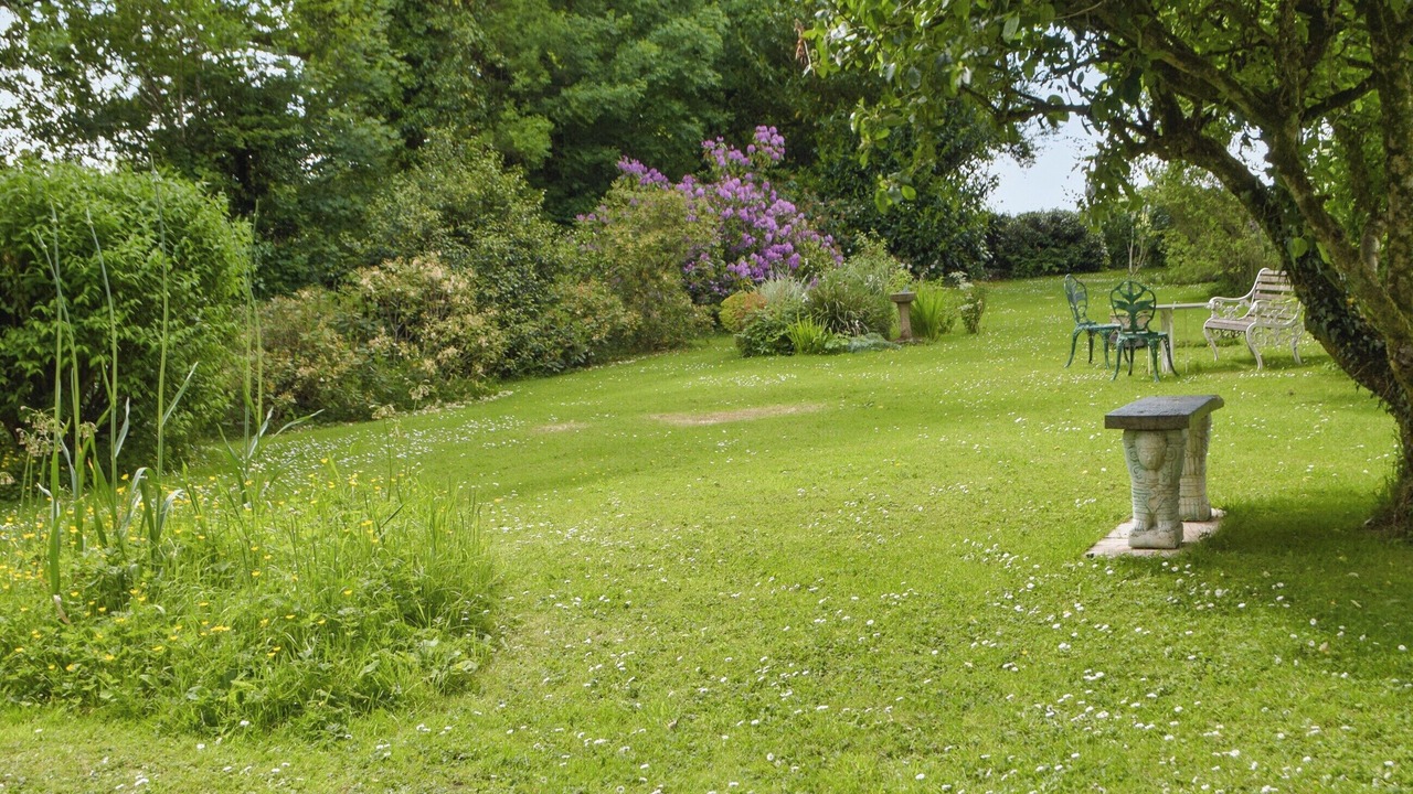 Photo of Others in Narberth