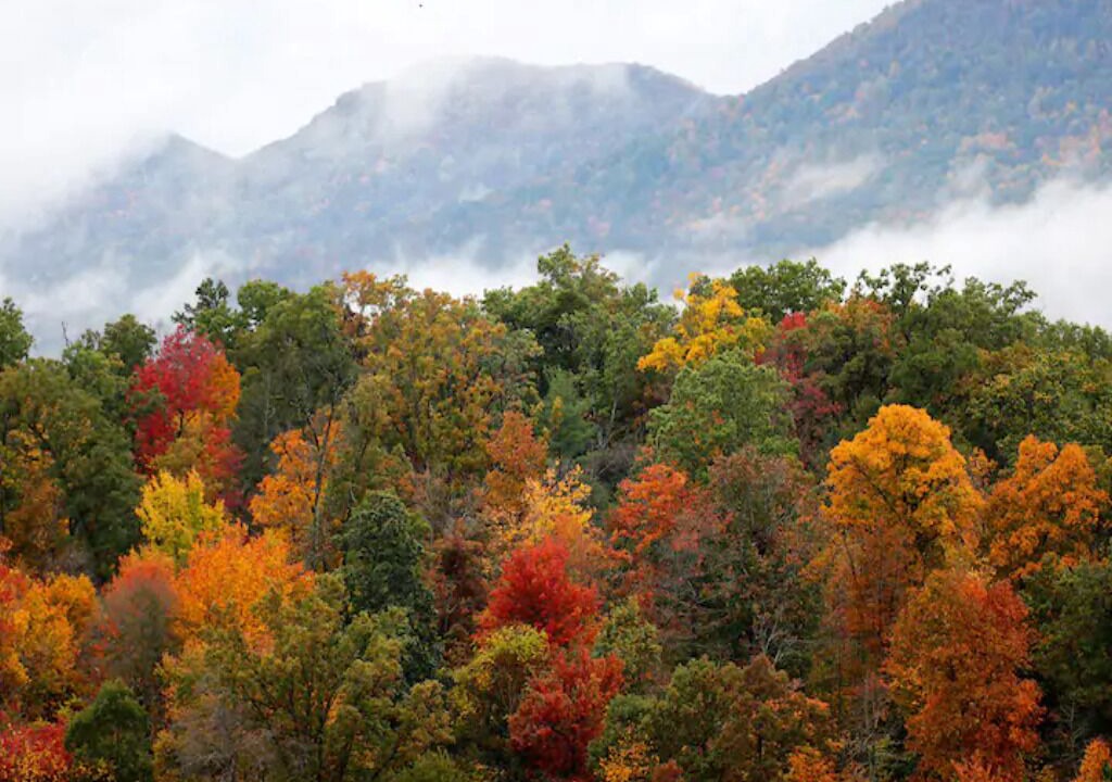 Photo of Outdoor in Waterville Valley