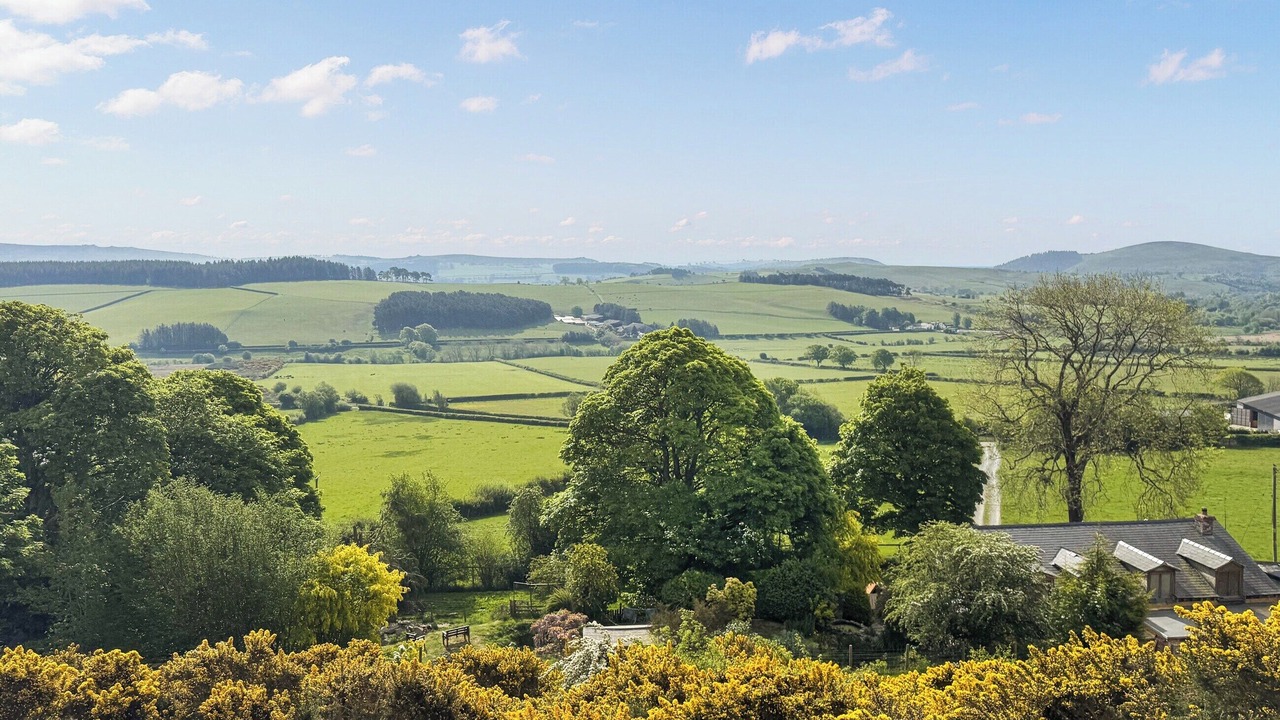 Photo of Others in Kingswood