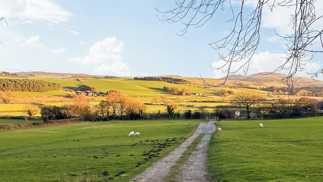 Photo of Others in Kingswood