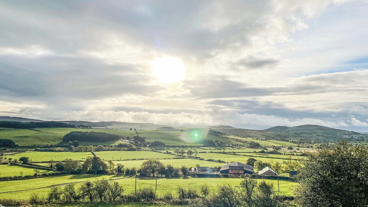 Photo of Others in Kingswood