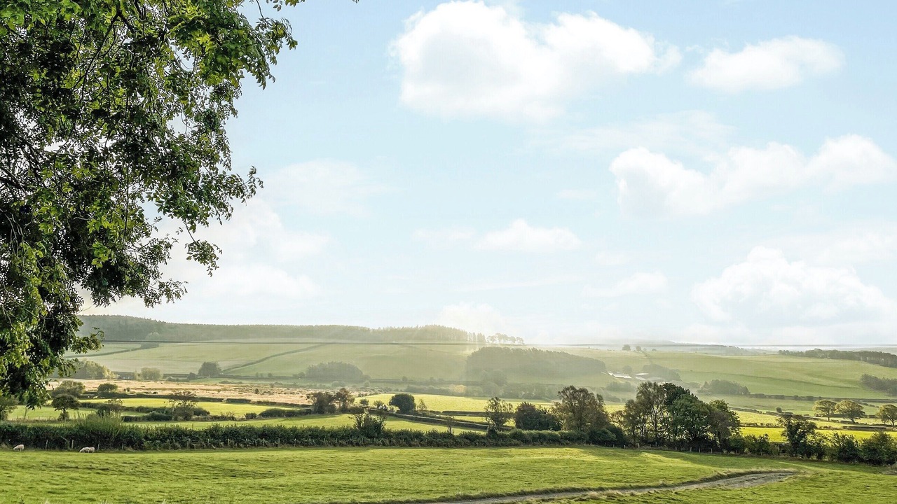 Photo of Others in Kingswood