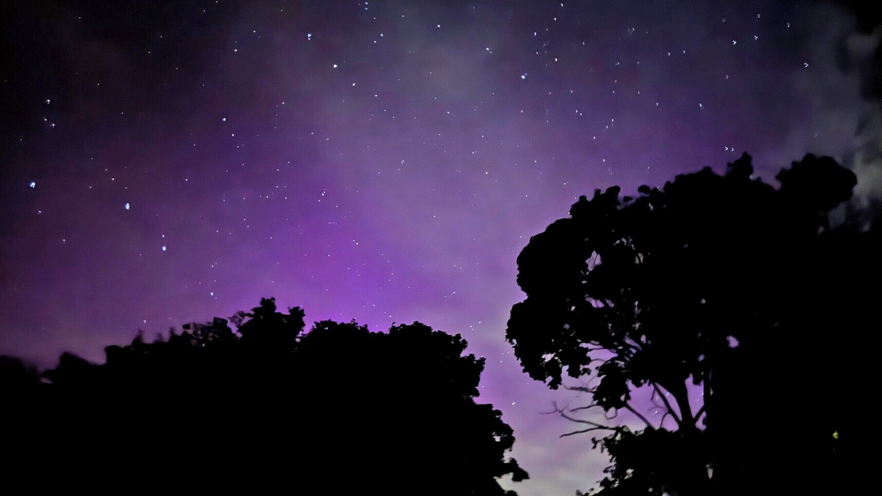 Photo of Others in Kingswood