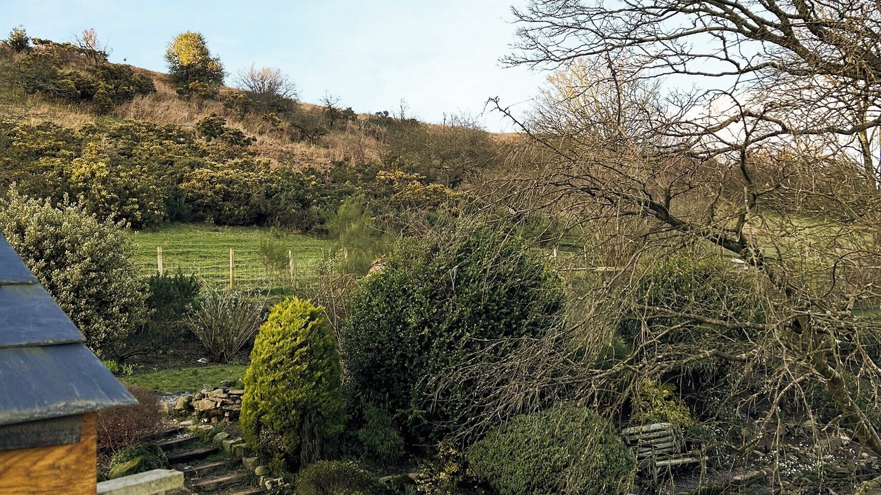 Photo of Others in Kingswood