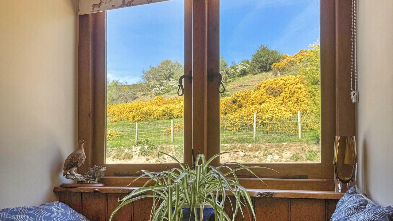 Photo of Others in Kingswood