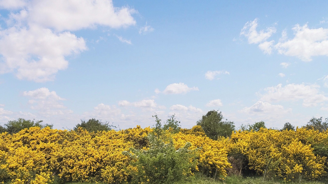 Photo of Others in Kingswood