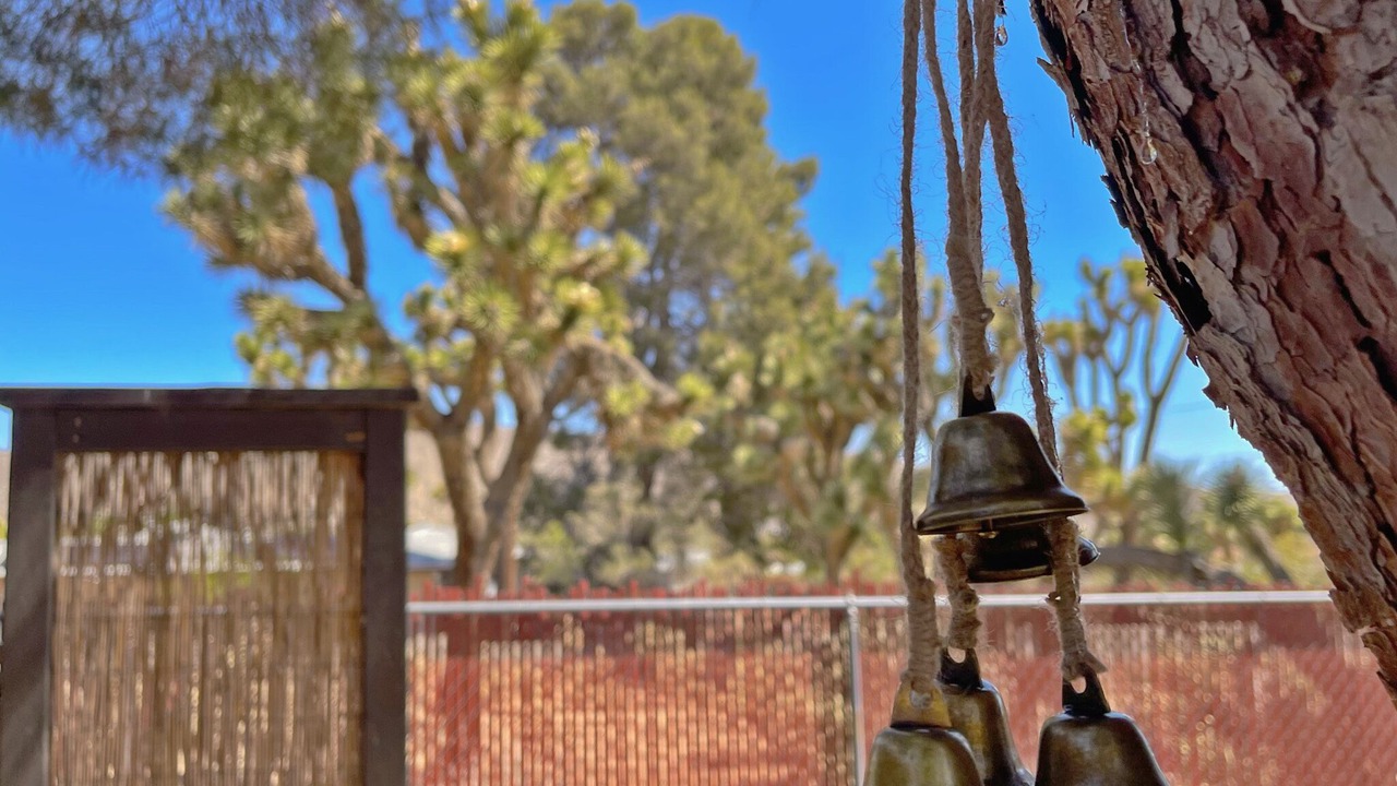 Photo of Outdoor in Yucca Valley