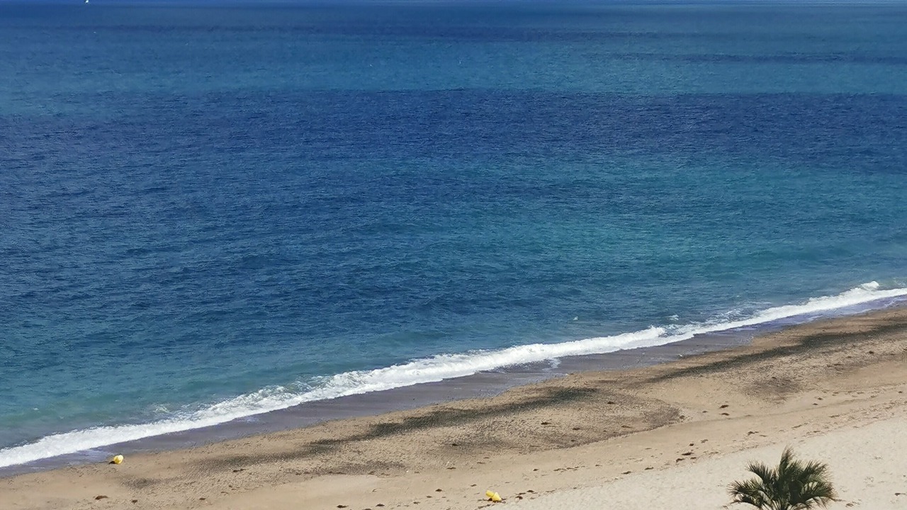 Photo of Others in Donville-les-Bains