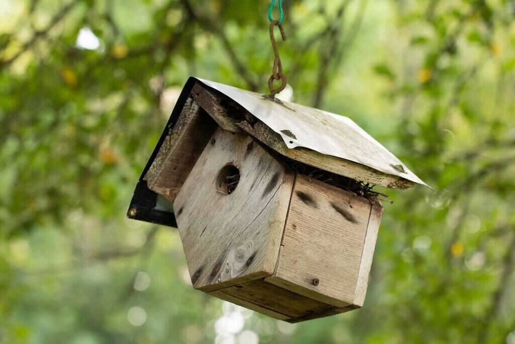 Photo of Others in Mainesburg
