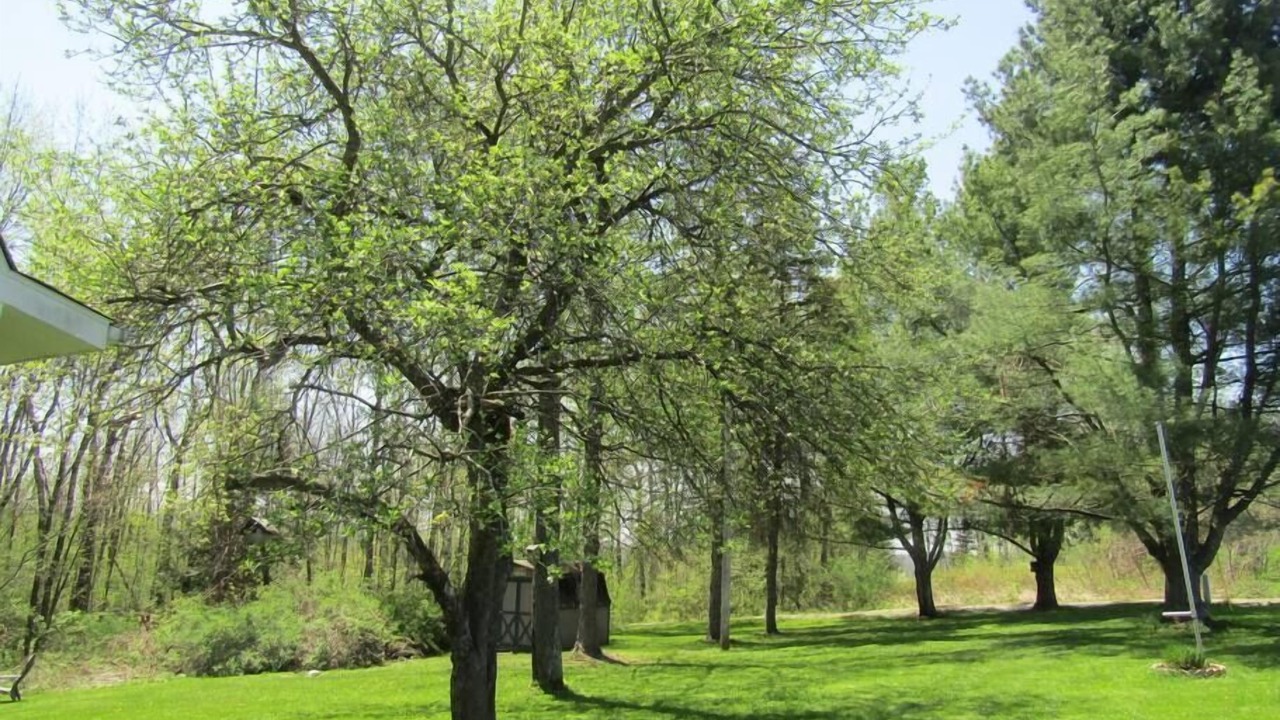 Photo of Others in Mainesburg