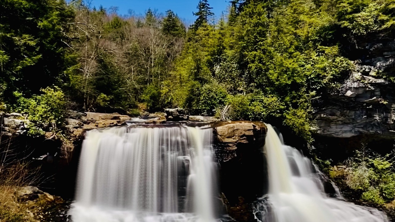 Photo of Others in Canaan Valley