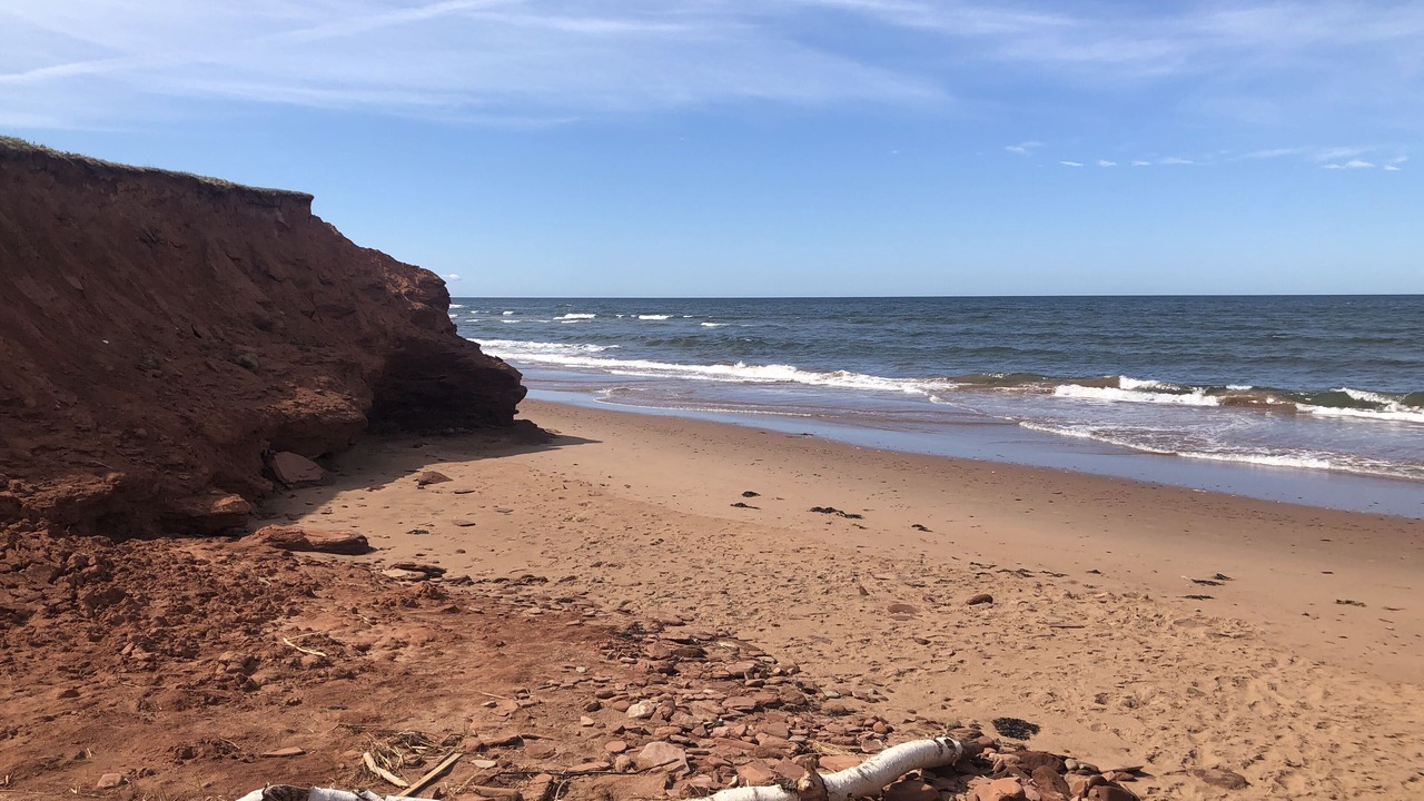Photo of Others in Sea View