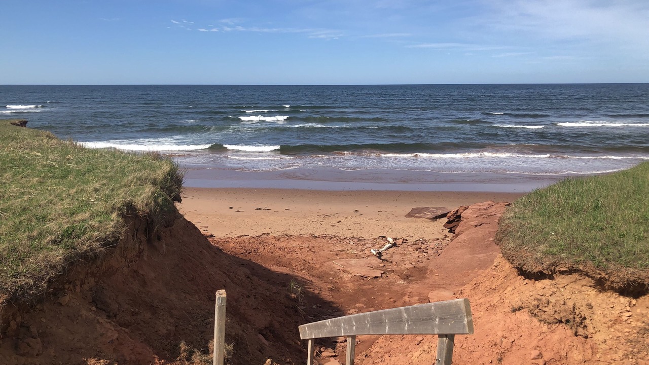 Photo of Others in Sea View