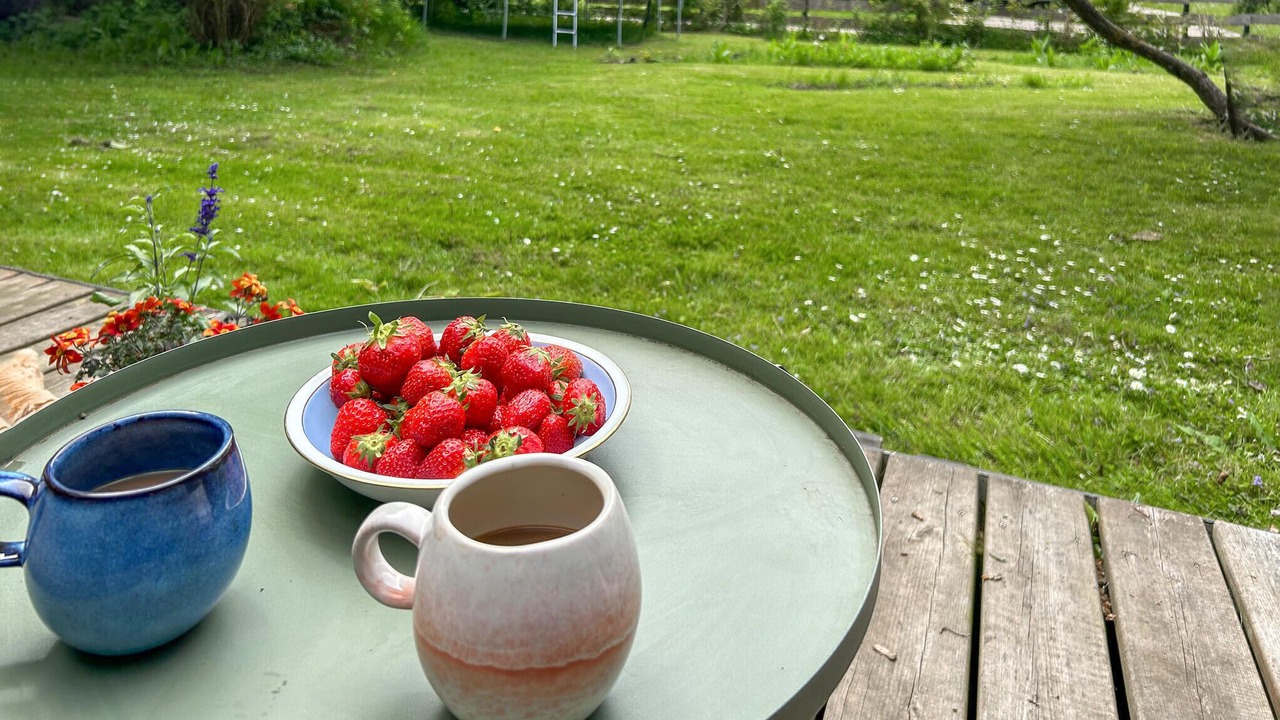 Photo of Outdoor in Store Kongsmark