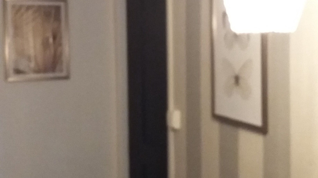 Photo of Others in Octeville