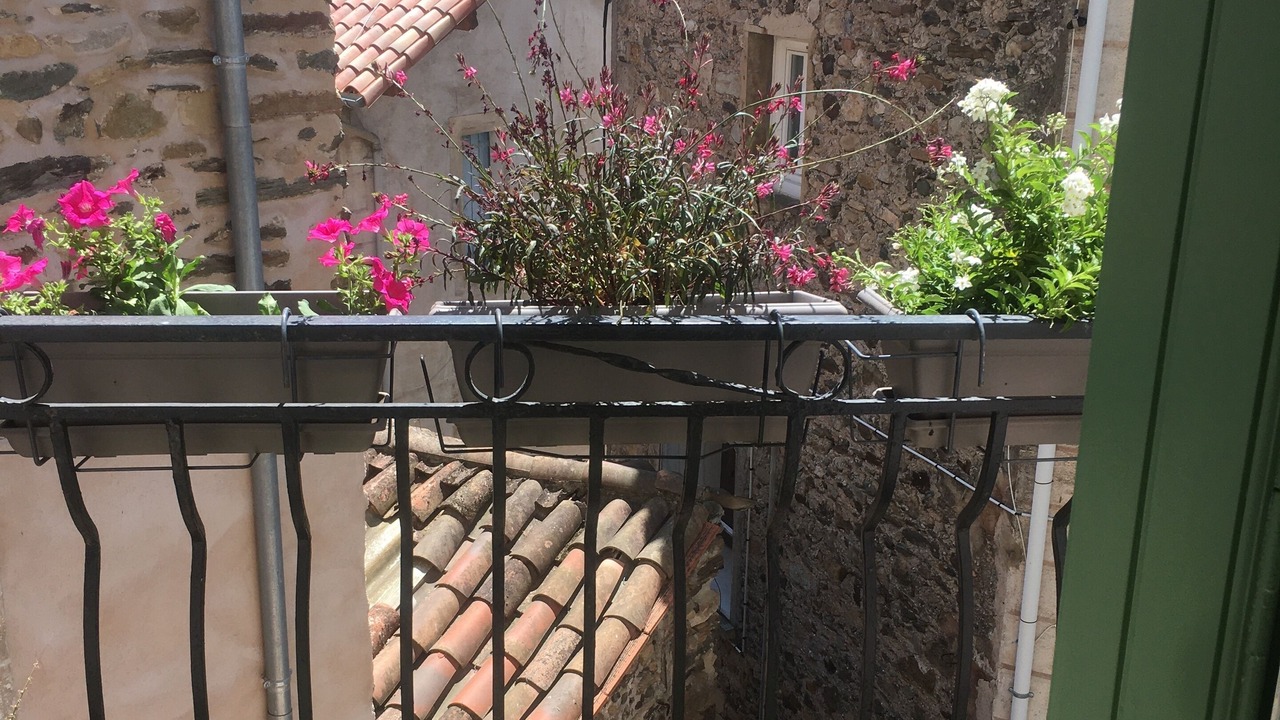 Photo of Others in Le Poujol-sur-Orb