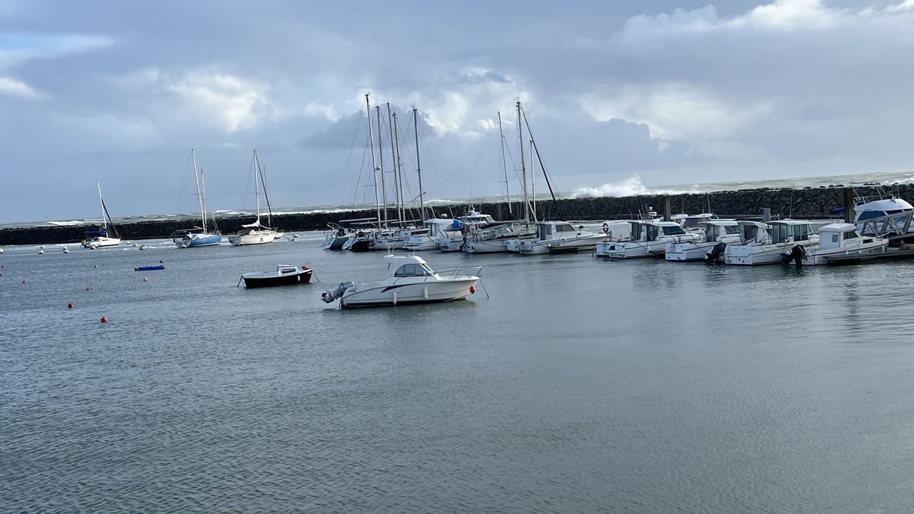 Photo of Others in Jard-sur-Mer