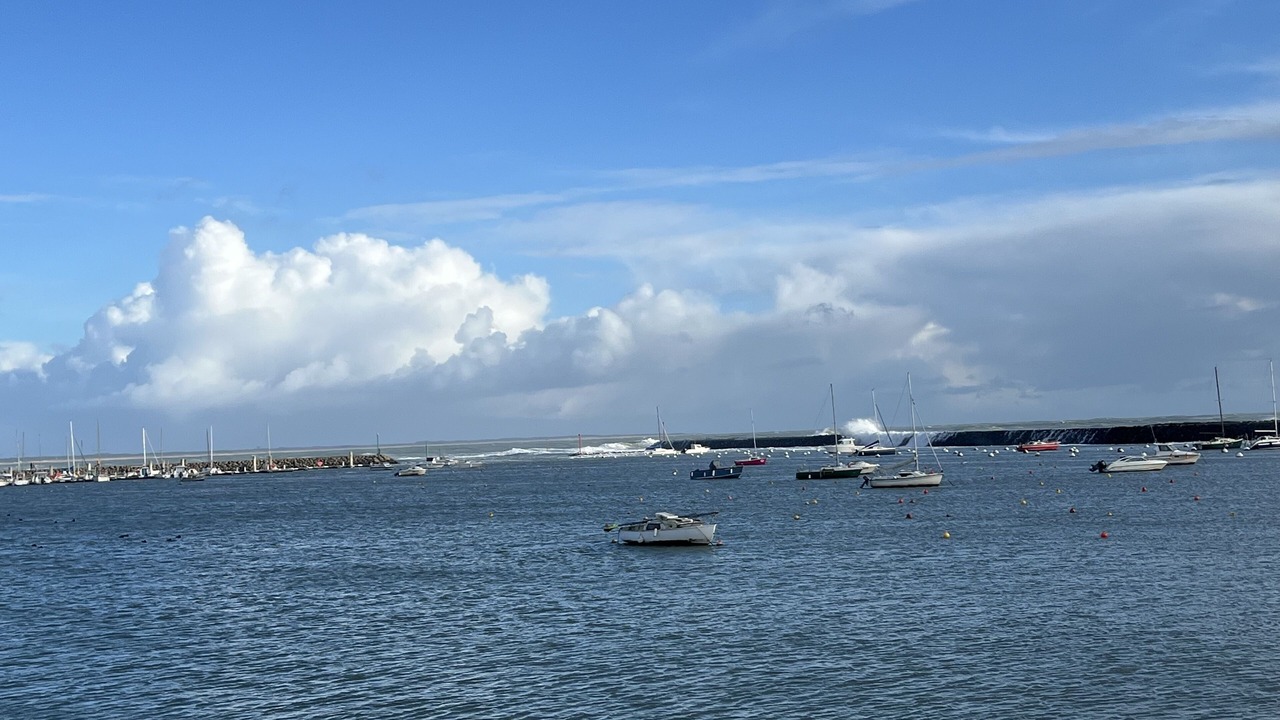 Photo of Others in Jard-sur-Mer