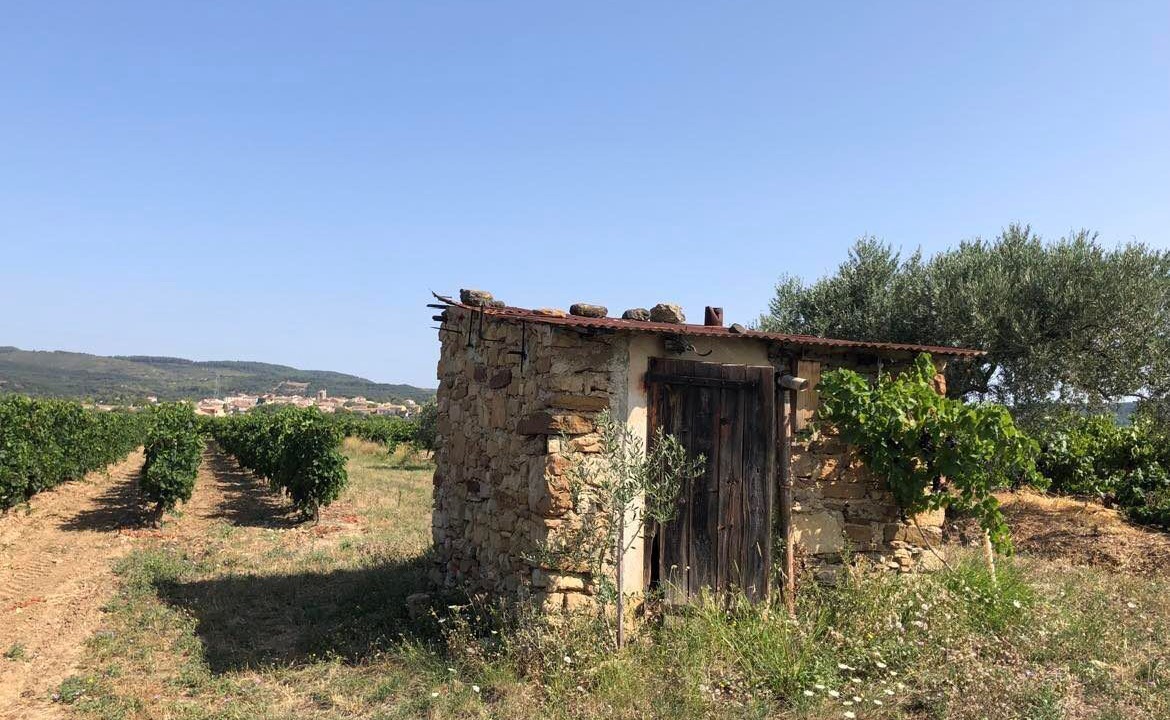 Photo of Outdoor in Neffies