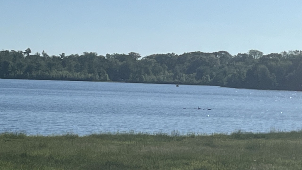 Photo of Outdoor in Coldwater