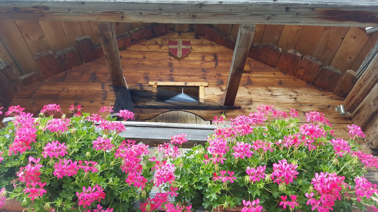 Photo of Outdoor in Saint-Victor-de-Cessieu
