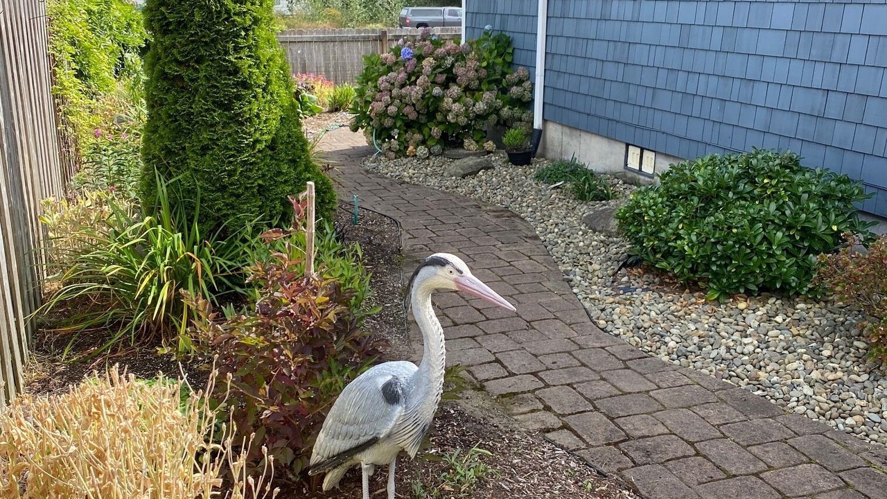 Photo of Outdoor in Long Beach
