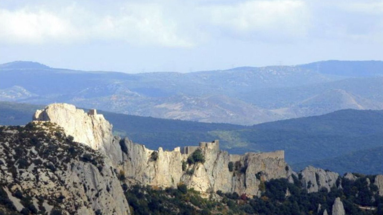 Photo of Others in Prugnanes