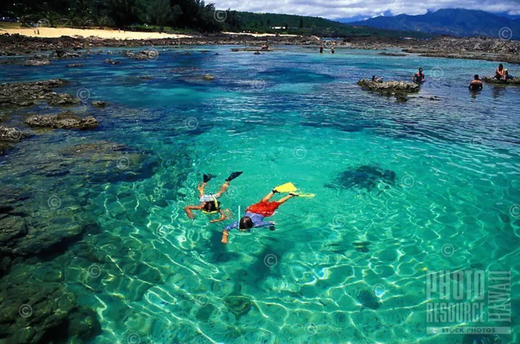 Photo of Others in Pupukea