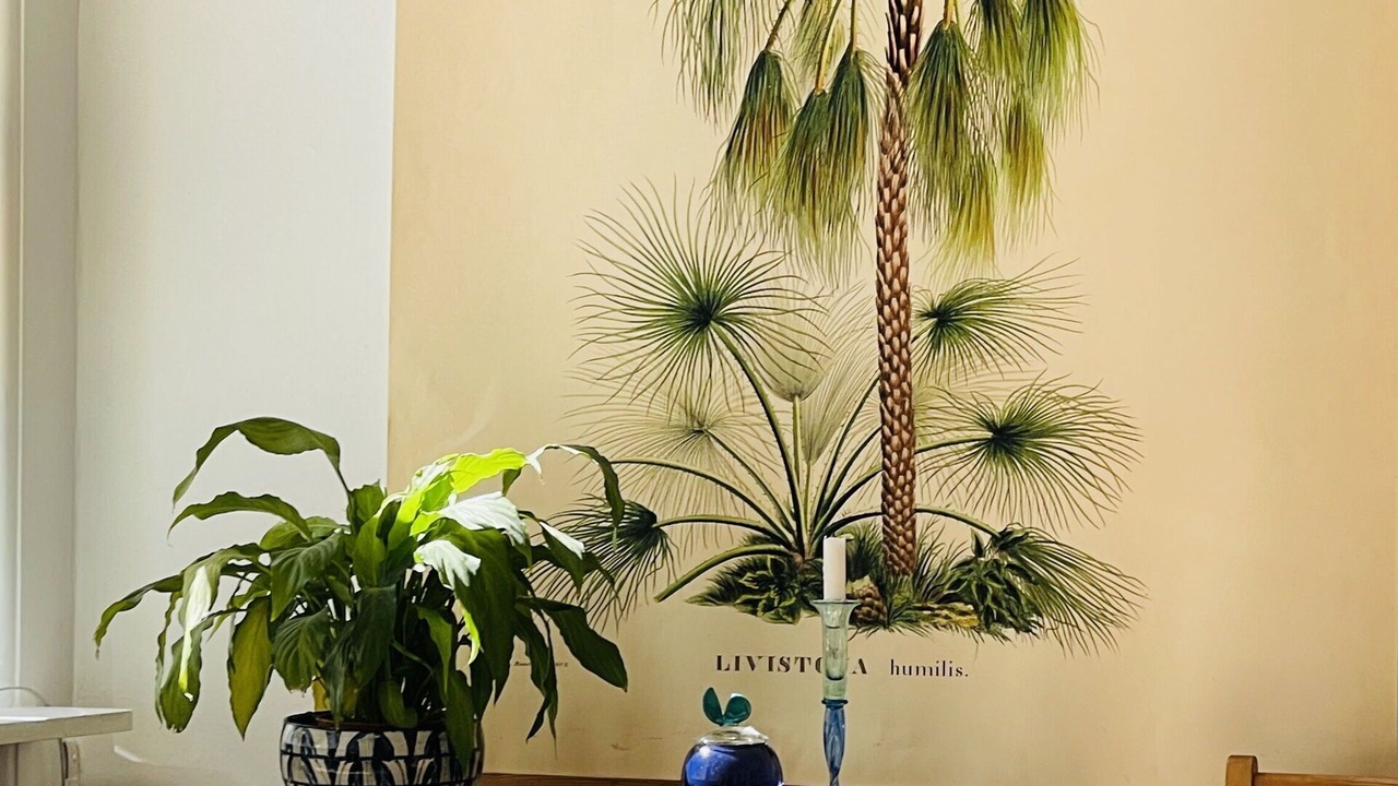 Photo of Bedroom in København N