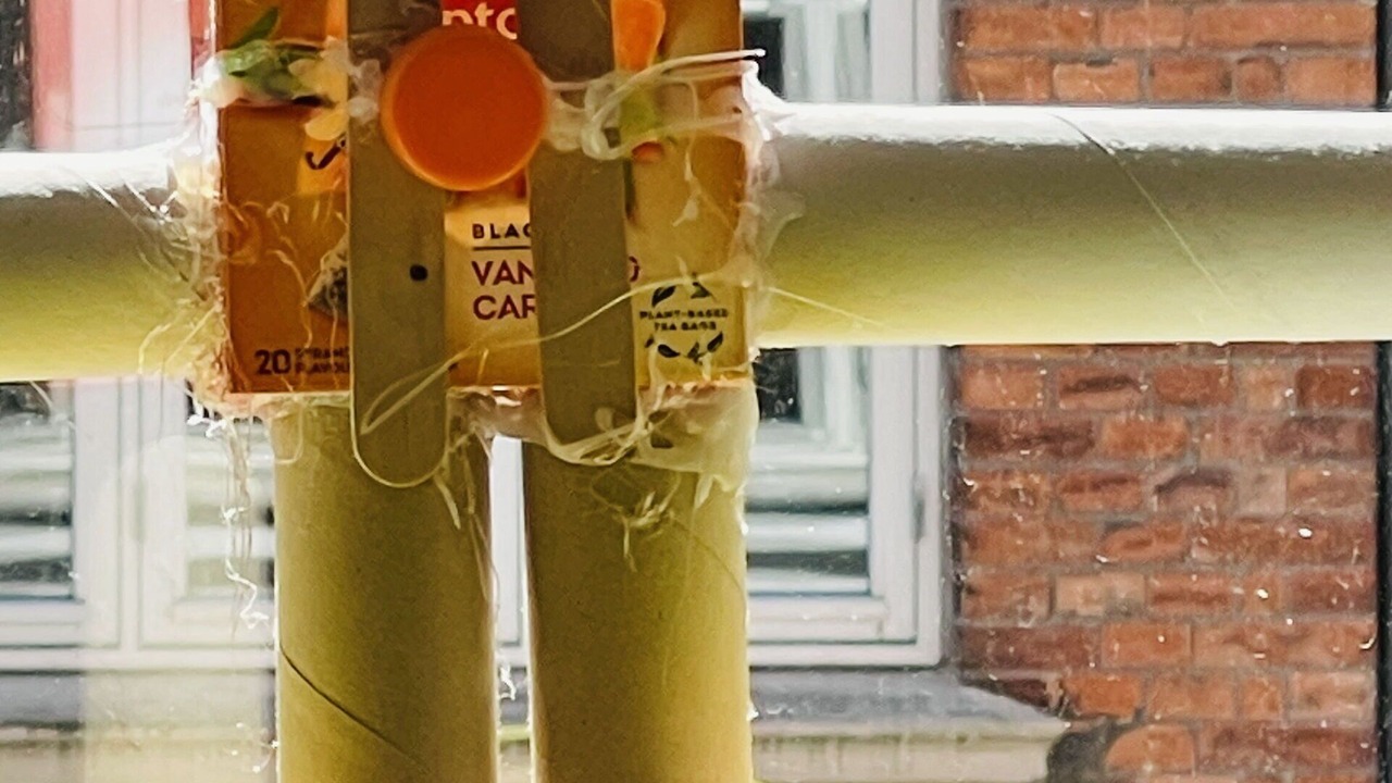 Photo of Bedroom in København N