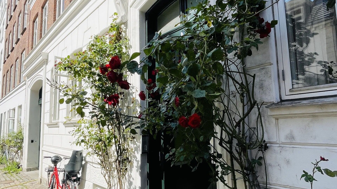 Photo of Outdoor in København N