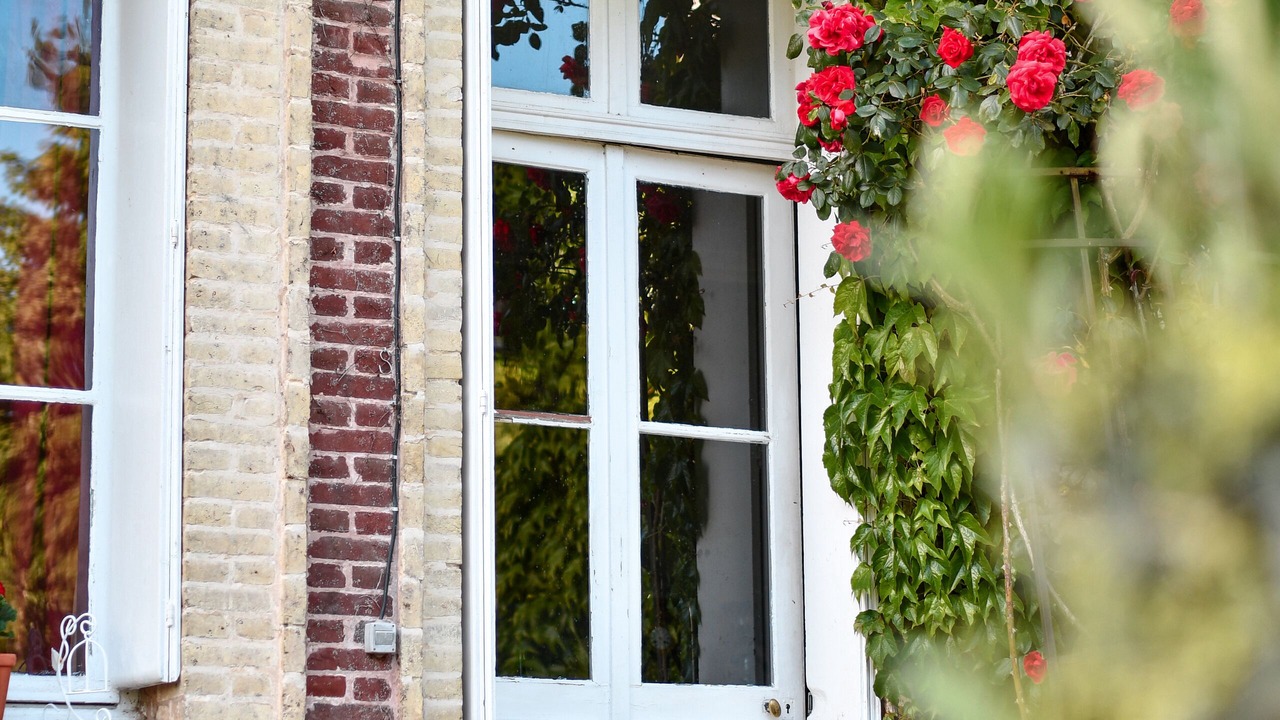 Photo of Outdoor in Calleville