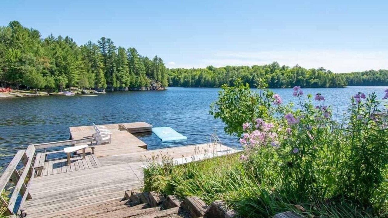 Photo of Outdoor in McKellar