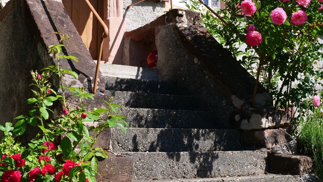 Photo of Outdoor in Meisenthal