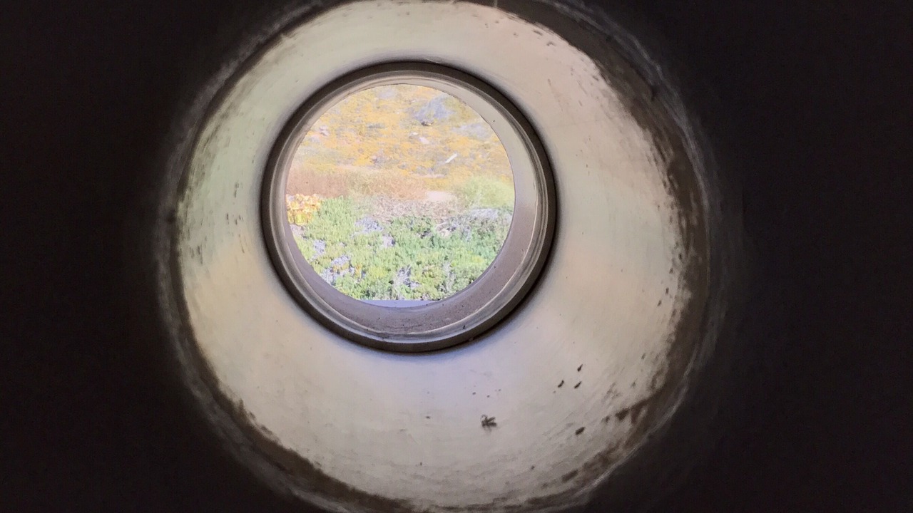 Photo of Others in Ensenada