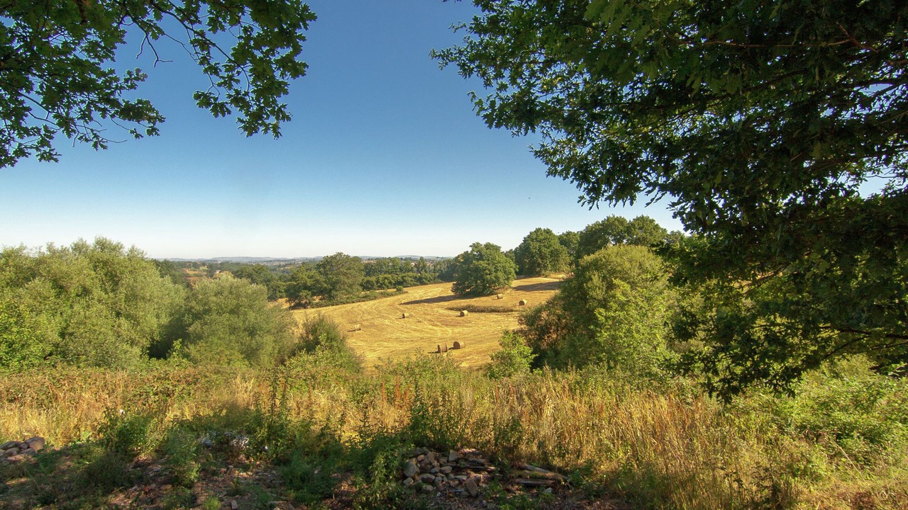 Photo of Others in Saint-Leonard-de-Noblat