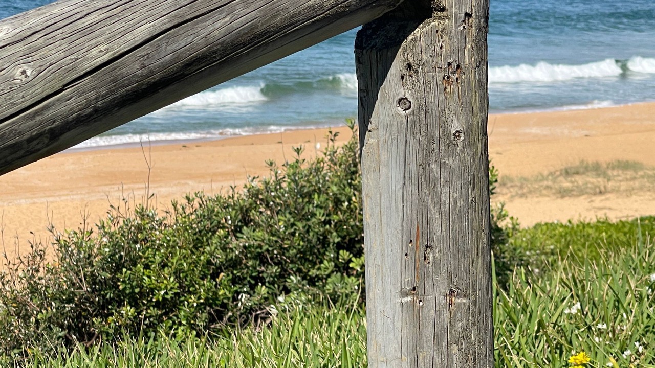 Photo of Others in Narrabeen