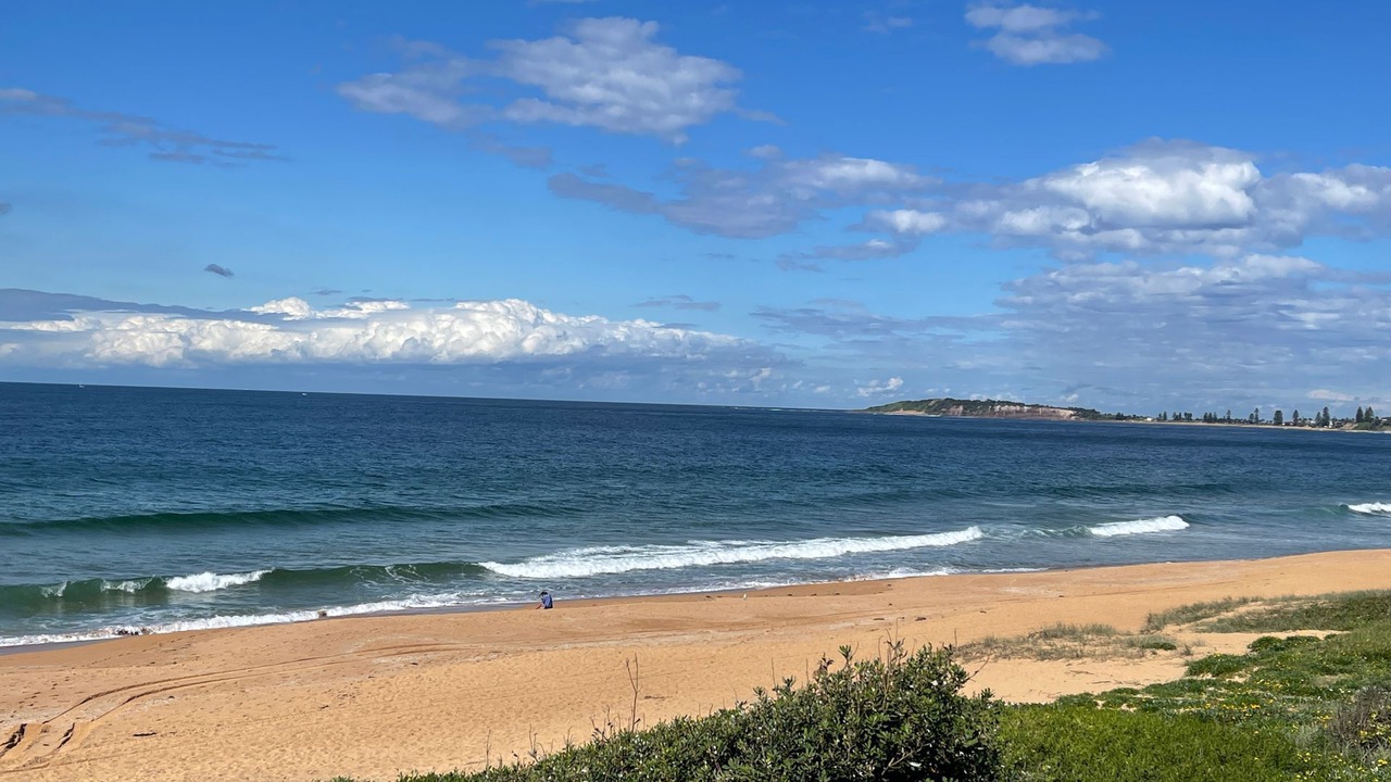 Photo of Others in Narrabeen