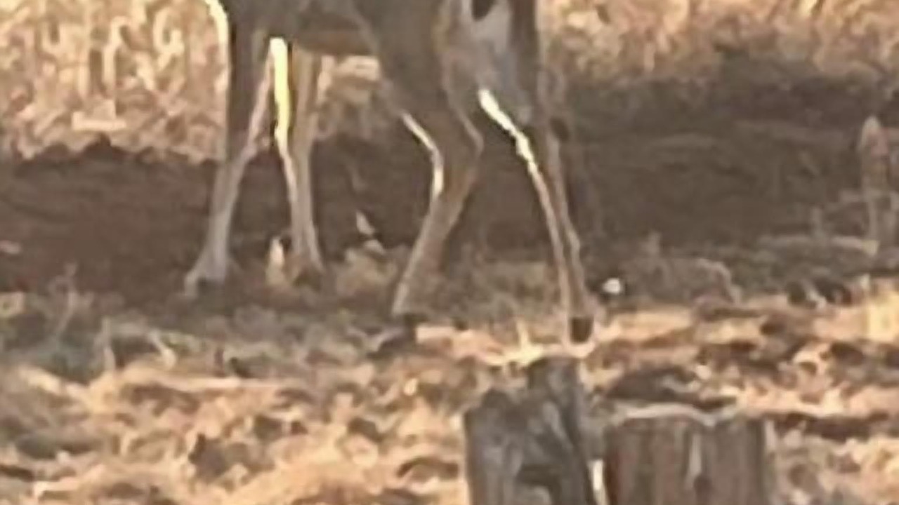 Photo of Others in Sweetwater
