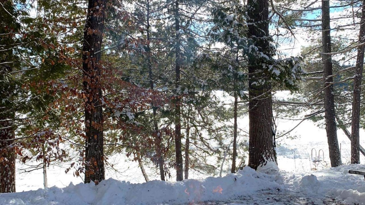 Photo of Others in Lanark Highlands