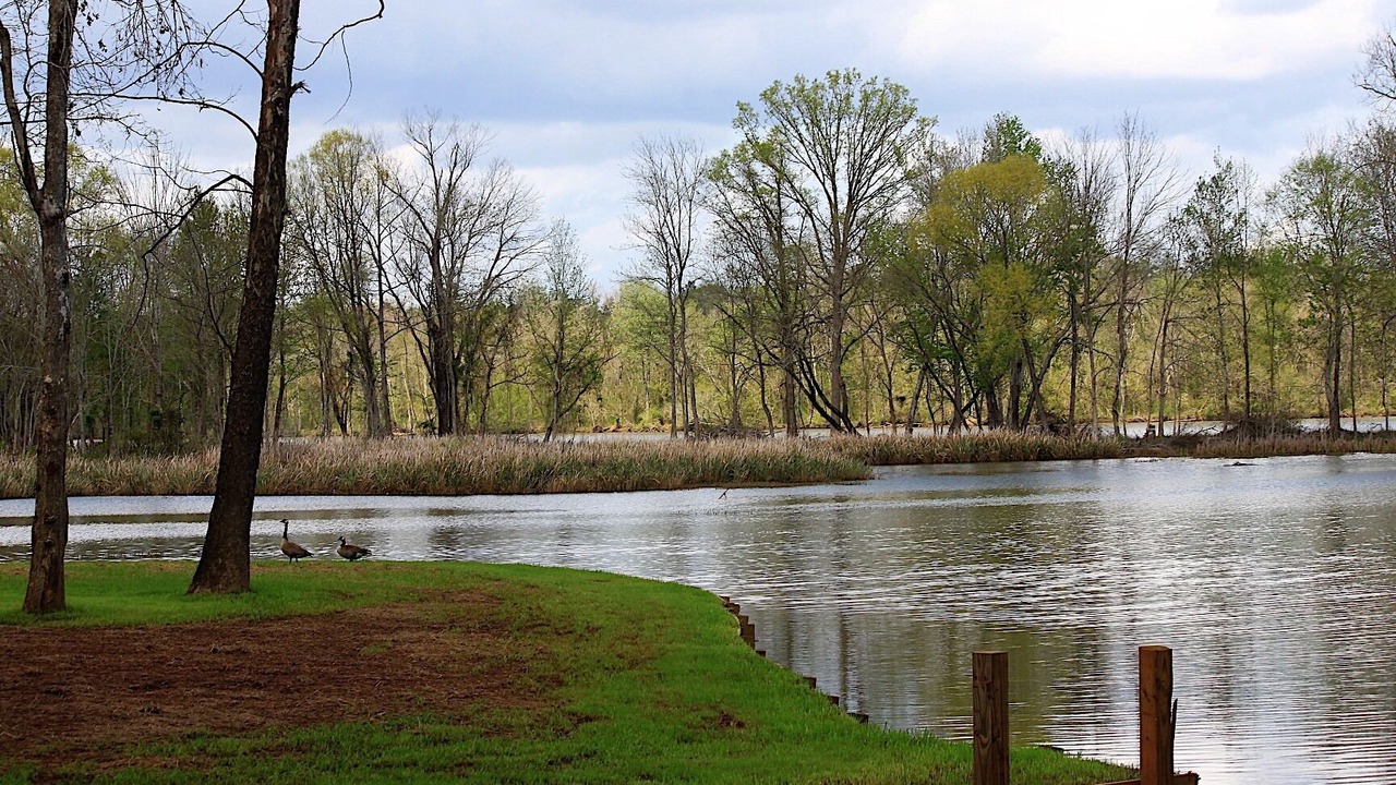 Photo of Others in Fortson