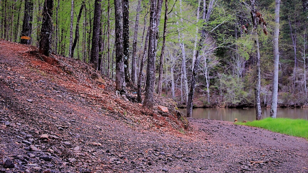 Photo of Outdoor in Fortson