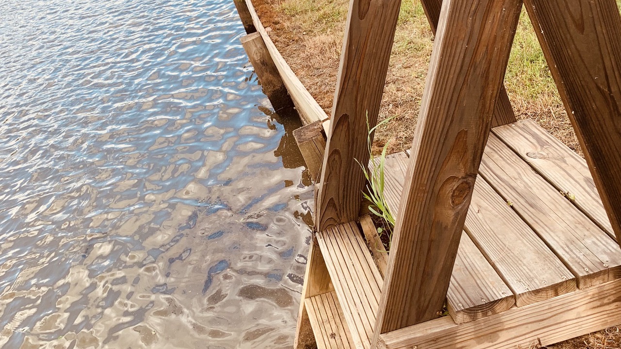 Photo of Others in Fortson