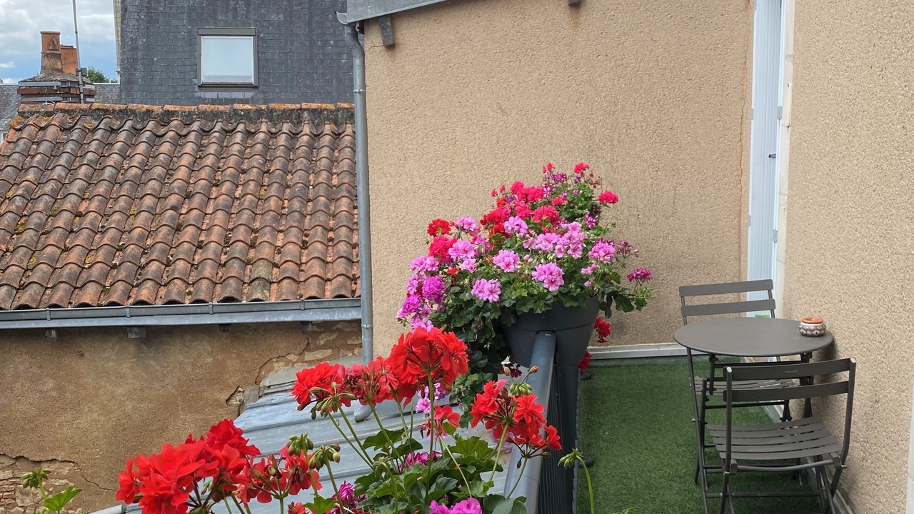 Photo of Outdoor in Poitiers