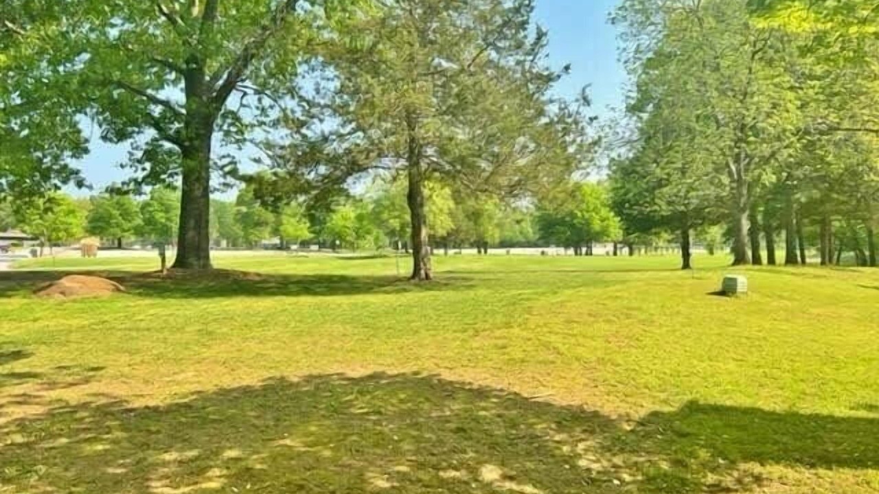 Photo of Others in Bella Vista